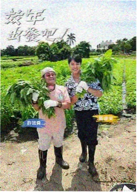 露营分体炉具套装炊事布置示意